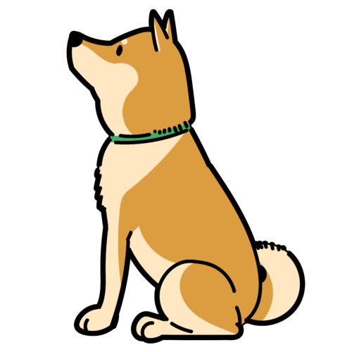 うちの柴犬 スワン英語会